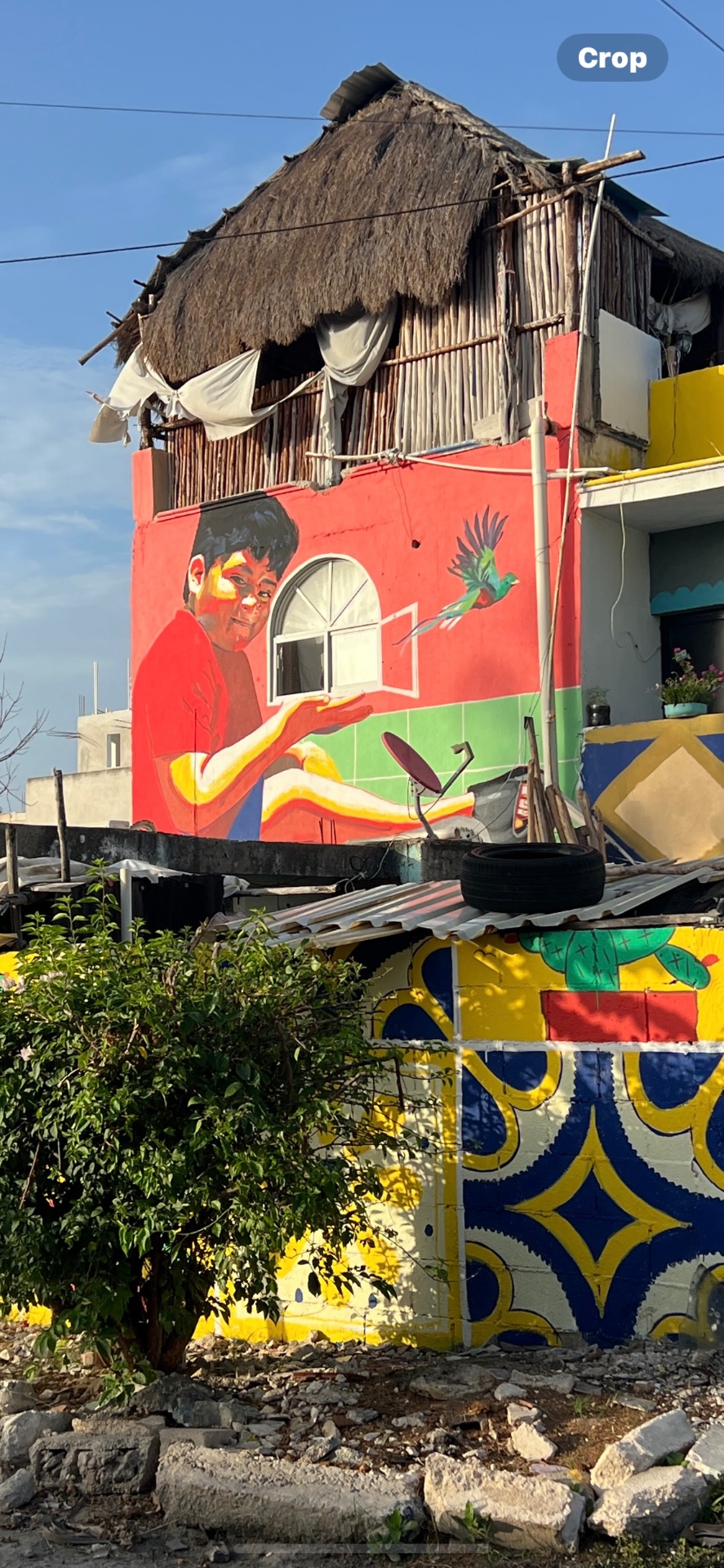 Mateo — mural by Dan Ferrer in Los Amigos de la Esquina area, Tulum